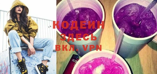 прущие грибы Абаза