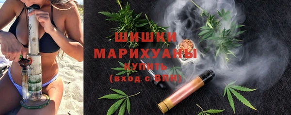 дмт Алзамай