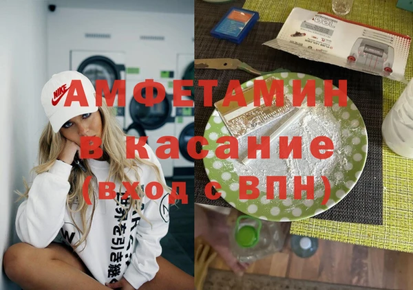 прущие грибы Абаза