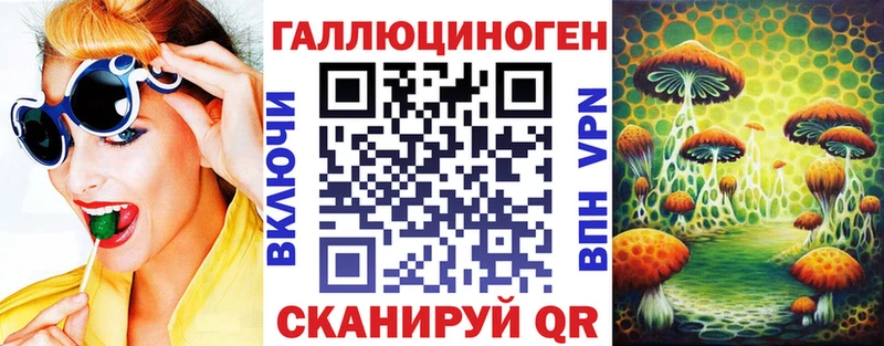 дарк нет Telegram Касимов Галлюциногенные грибы ЛСД OMG вход
