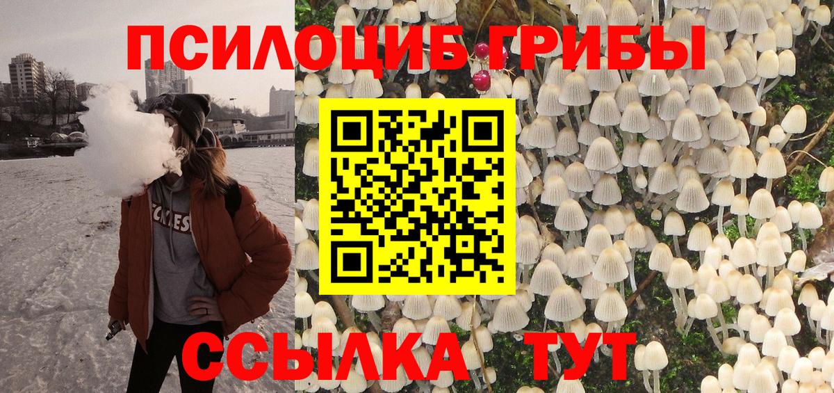 Псилоцибиновые грибы Cubensis  Вход с VPN  Касимов 