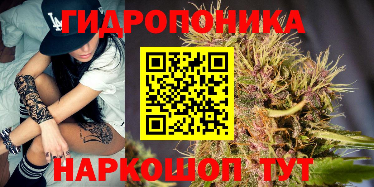 Канабис сатива Касимов